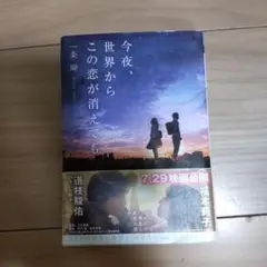今夜、世界からこの恋が消えても