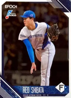 北海道日本ハムファイターズ 柴田獅子選手プロ初登板記念観戦証明書 2