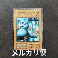 2026年最新】ウェザー・コントロールの人気アイテム - メルカリ