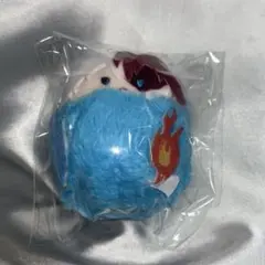 ヒロアカ 轟焦凍 くるみたぴぬい タピオカ