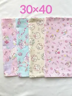 rip1102様専用 ゆめかわ30×40ランチョンマット4枚セット