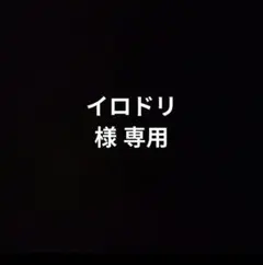 イロドリ様専用です