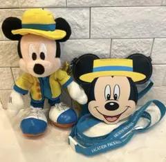 ［美品］ディズニーリゾートバケーションパッケージチケットパスミッキーマウスセット