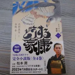 Item thumbnail for item c503a056-72f3-4570-b961-8bf222735894