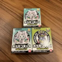 ポケモンキッズ30周年スペシャルvol.1編　ジガルデ、メガルカリオ