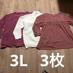 秋冬ものトップス　3L 3枚