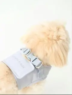 GELATO PIQUE　 ハーネス・リードセット Мサイズ　ブルー　ジェラピケ