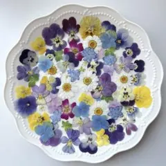 No.39 押し花 素材 お花たっぷり レジン キャンドルなど材料に