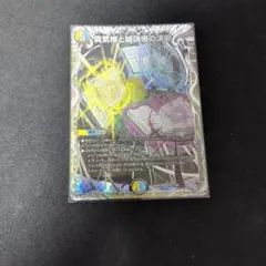 2026年最新】パーフェクトペテンシーの人気アイテム - メルカリ