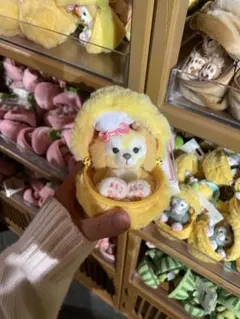 クッキーアンぬいぐるみキーチェーン(チャーム)新品タグ付き❣️写真の子 Disney - 【最新☆正規品】クッキーアン 20周年 ぬいぐるみキー