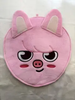 Stray Kids　チャンビン　うちわ5枚　うちわケース