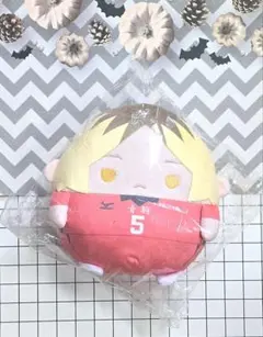 ハイキュー！！　くじメイト　ぬいくじ　C賞　研磨