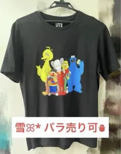 カウズ×セサミストリートグラフィックTシャツ Mサイズ