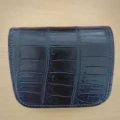 2026年最新】ワイルドスワンズ カーサの人気アイテム - メルカリ