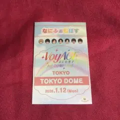 1/12 VoyAGE 東京ドーム なにふぁむぱすステッカー