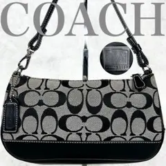 Coach handbag Accessory Pouch signature