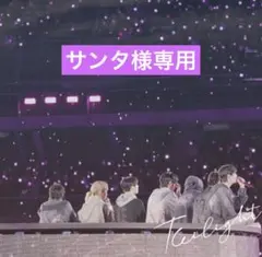 サンタ様専用