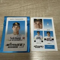 福岡ソフトバンクホークス 谷川原健太 バリカタ球宴 証明写真風スマロイド