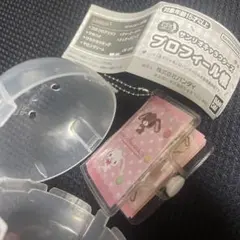 豆ガシャ本 サンリオキャラクターズ プロフィール帳 シュガーバニーズ