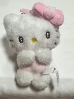 サンリオ　ハローキティ　キャラクター大賞第3弾　いっぱい好きになって欲しいの