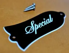 Item thumbnail for item 95d2cca1-10a3-4d16-b036-844b95f9b9bc