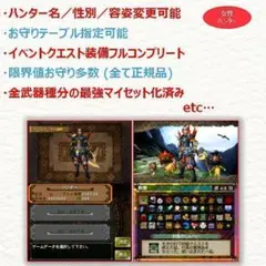 3DS モンスターハンター3G 女性ハンター