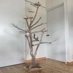 Item thumbnail for item 25170140-ed37-4044-8c40-a2485de9a15f