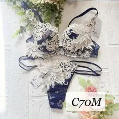 Wacoal サルート 秋の七草 復刻版 ブラジャー＆ソングセット F75 M