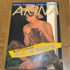 2025年最新】中森明菜 コンサート パンフの人気アイテム - メルカリ