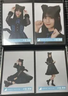 小坂菜緒　生写真 4種 コンプ 日向坂46 2024 ハロウィン