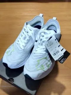 Item thumbnail for item b0d7bdca-ce2e-4480-b9aa-35f867bf292d