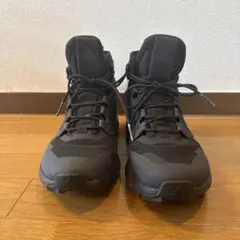 adidas×ファレル TERREX GTX 黒 26.5cm