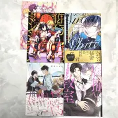 商業BL漫画 まとめ売り 4冊セット