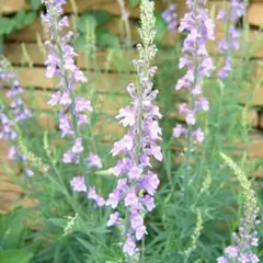 マルちゃん様 リクエスト 7点 まとめ商品