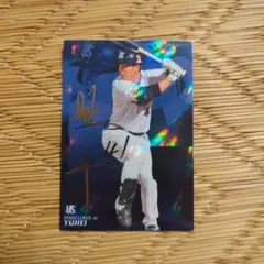 雄平 サインカード（ヤクルトスワローズ）