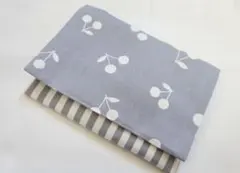 Item thumbnail for item e86bcd2d-cd2e-446a-88e4-9cf02b74a8a5