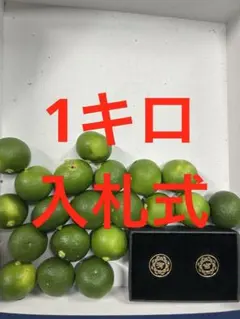 2026年最新】すだち焼酎の人気アイテム - メルカリ