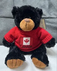 クマぬいぐるみ　DUE NORTH カナダ　赤セーター　テディベア