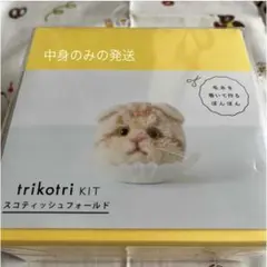 Item thumbnail for item 67c8d02c-cfcc-40e0-afee-d7c5e8502a70