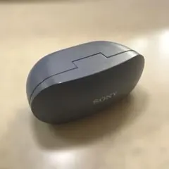 ソニーワイヤレスノイズキャンセリングイヤホン WF-SP800N : ブルー