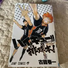 ハイキュー!! コンプリートガイドブック 排球本!