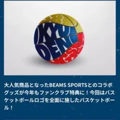 2025年最新】琉球ゴールデンキングス_BEAMSコラボの人気アイテム