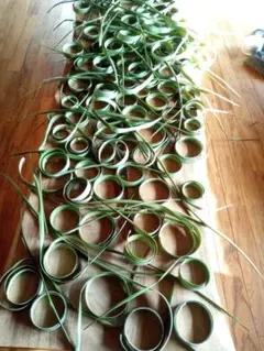 2026年最新】ラウハラ ロールの人気アイテム - メルカリ