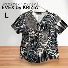 EVEX by KRIZIA ゼブラ柄 Vネック カットソー 40 Ｌ 伸縮性のサムネイル