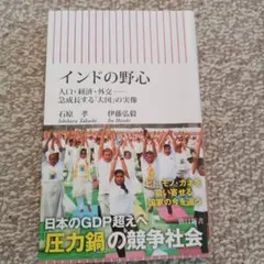 インドの野心 : 人口・経済・外交――急成長する「大国」の実像
