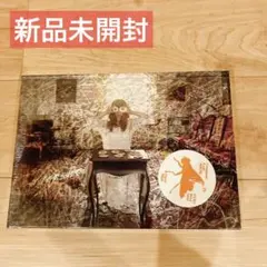 YUKI Flyin' High ツアーパンフレット YUKI Flyin' High ツアーパンフレット YUKI concert tour“Flyin