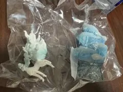 ポケモン　リーメント　ダイヤモンドダスト　アローラキュウコン