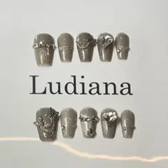 Ludiana グレー ネイルチップ 新品
