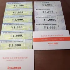 ビックカメラ、コジマ株主優待券　1万円分