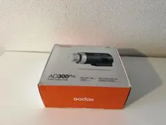 Item thumbnail for item 9367ffbf-7d3a-4b4f-bf86-07b1316d7bc1